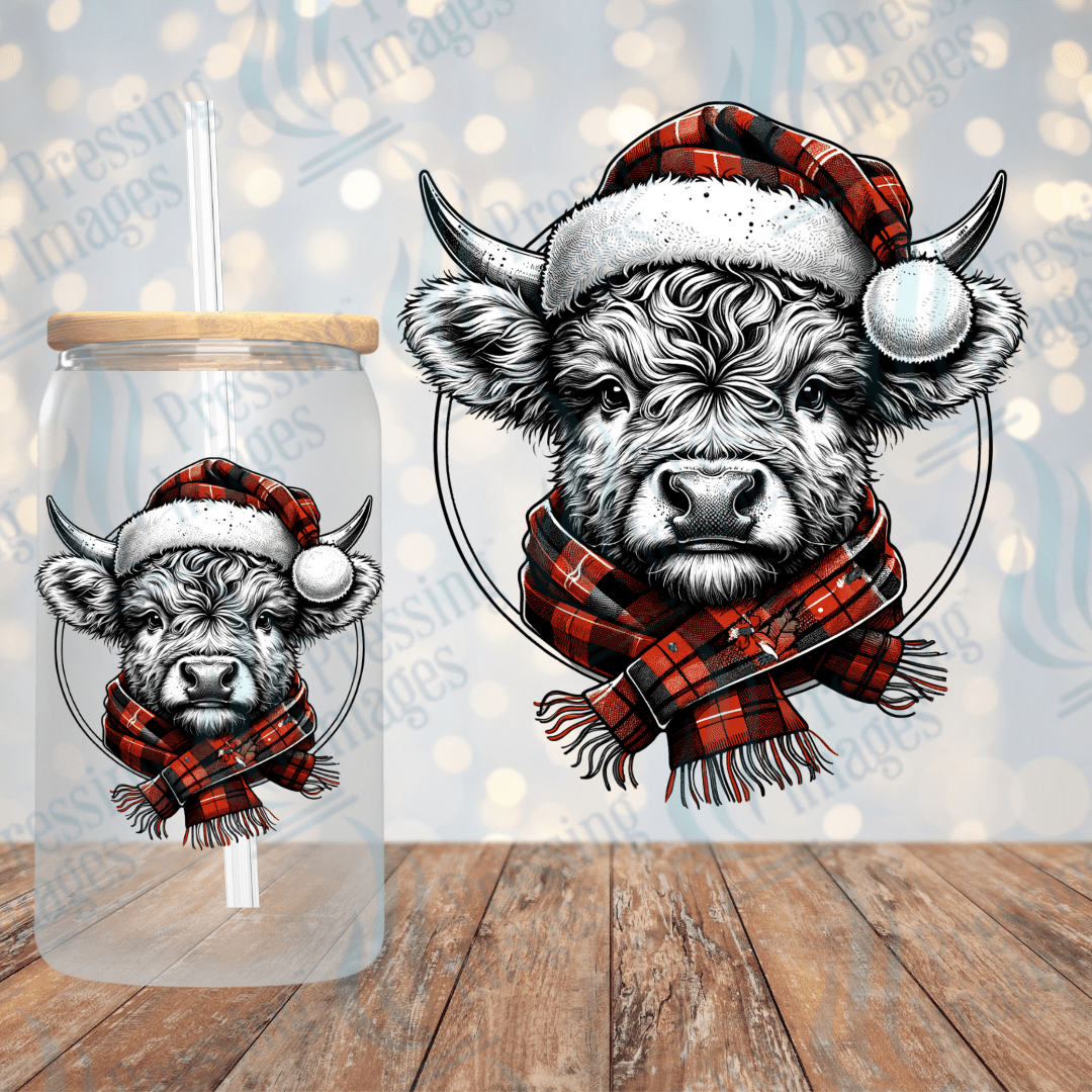 Baby Winter Highland Cow | Pressing Images (#1962)