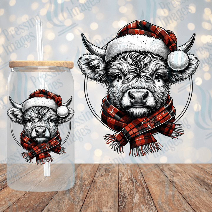 Baby Winter Highland Cow | Pressing Images (#1962)