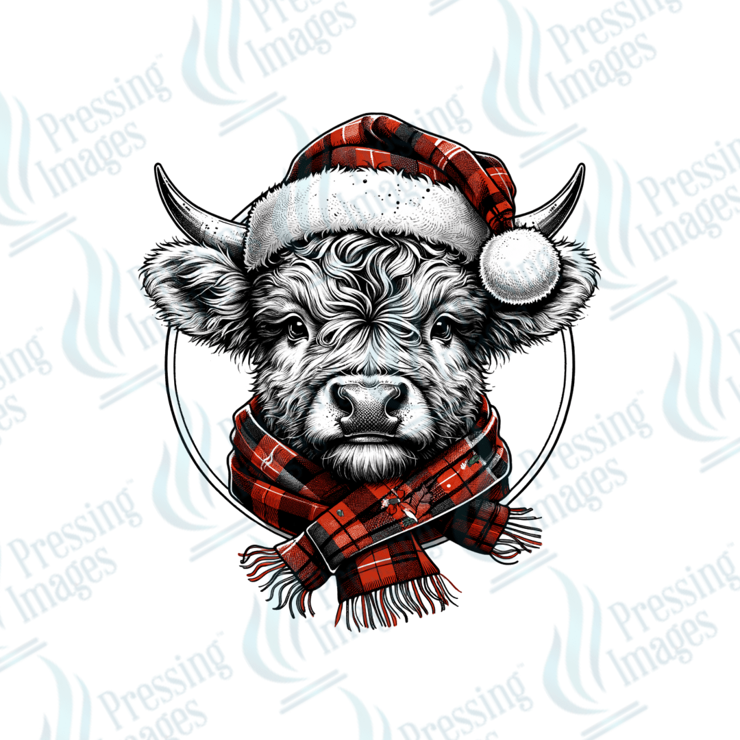 Baby Winter Highland Cow | Pressing Images (#1962)