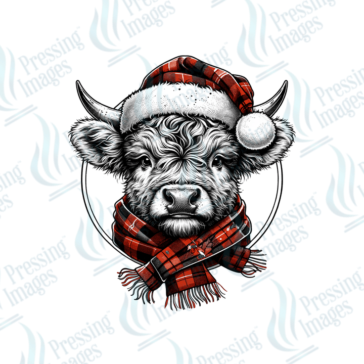 Baby Winter Highland Cow | Pressing Images (#1962)
