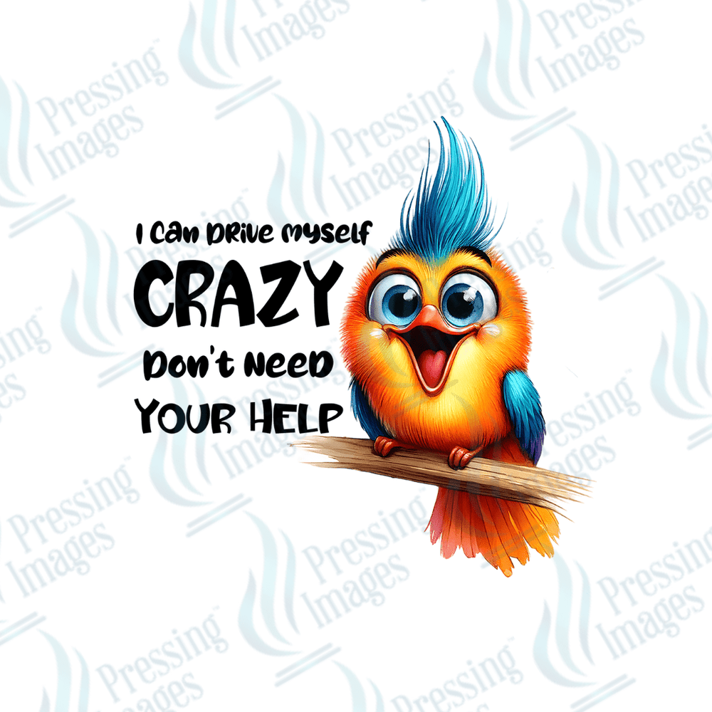 UVD 1976 I can drive myself crazy I don't need your help - Pressing Images