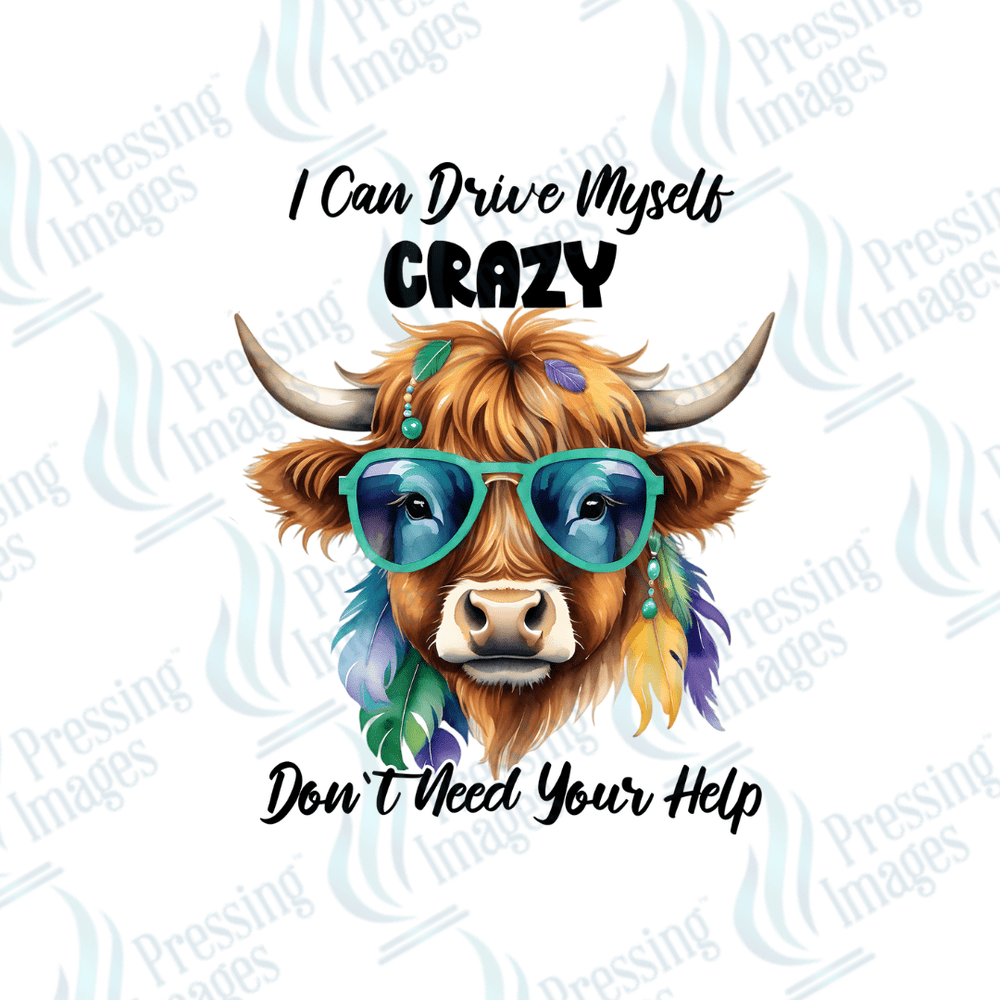 UVD 1985 I can drive myself crazy - Pressing Images