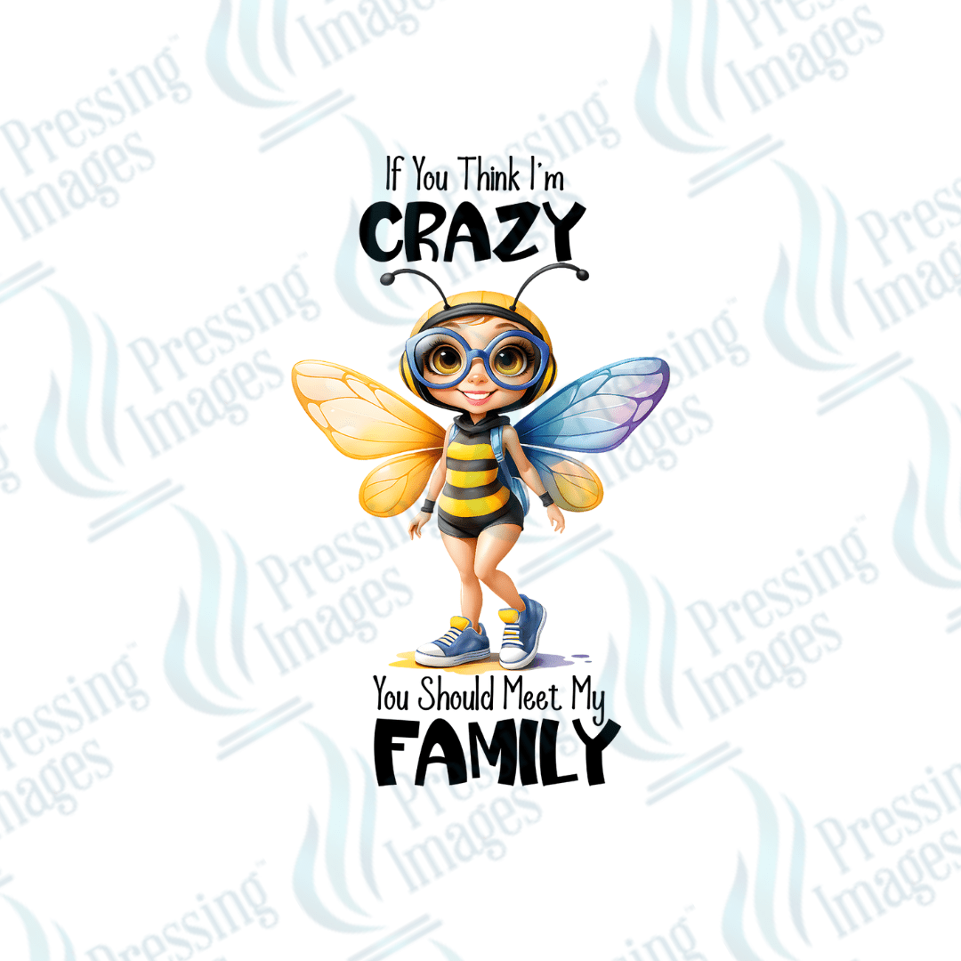 UVD 1986 If you think I'm crazy you should see my family - Pressing Images