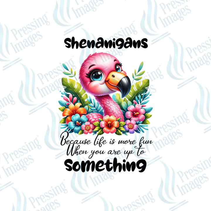 UVD 1990 Shenanigans - Pressing Images