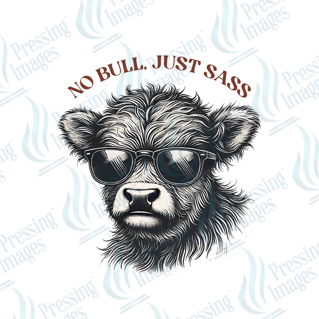UVD 1996 No bull just sass - Pressing Images
