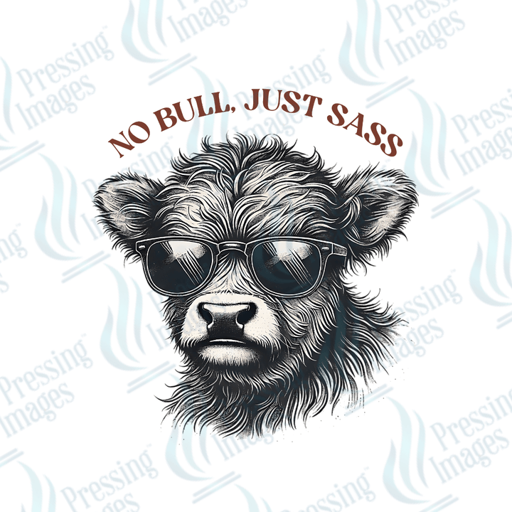 UVD 1996 No bull just sass - Pressing Images