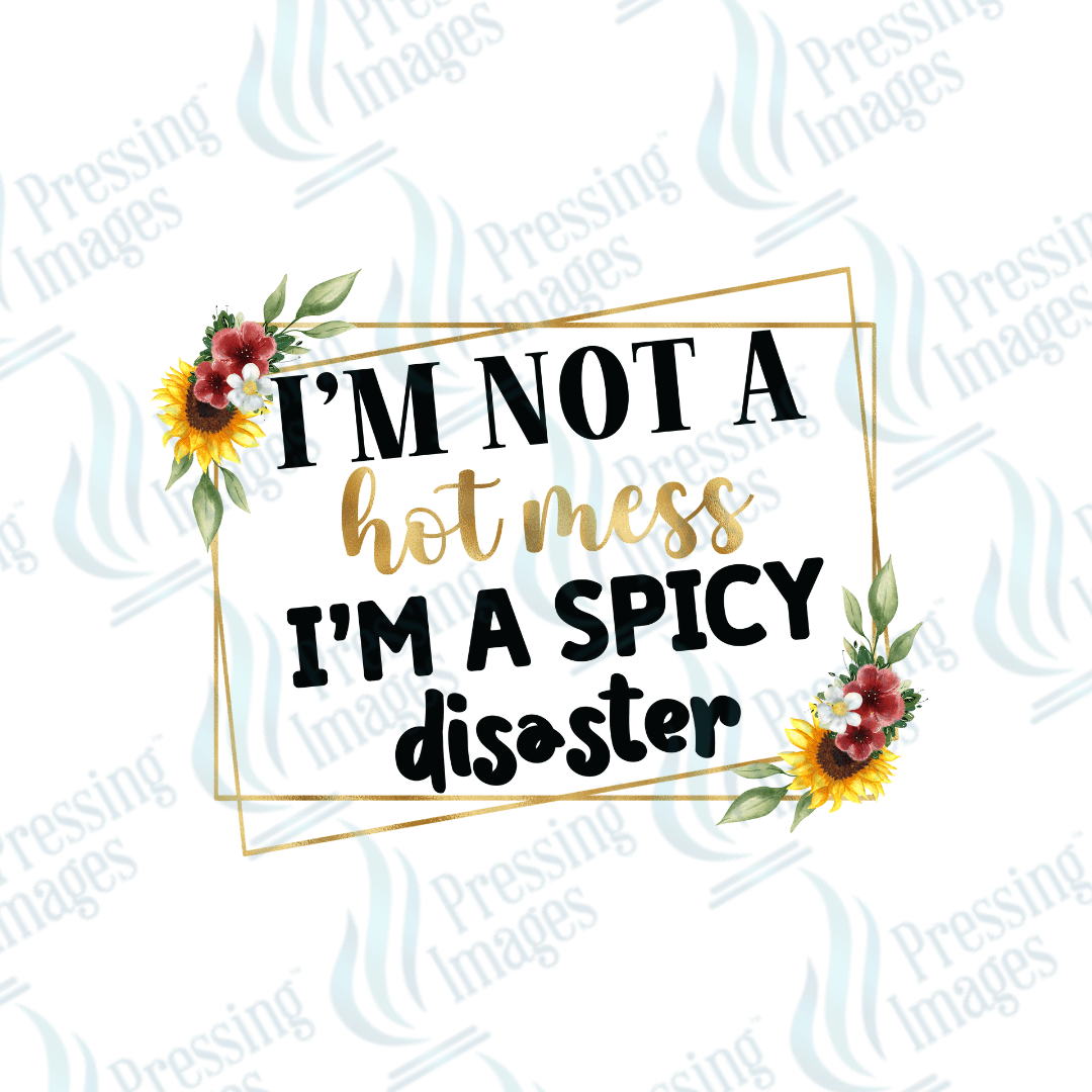 UVD 2003 I am not a hot mess I'm a spicy disaster - Pressing Images