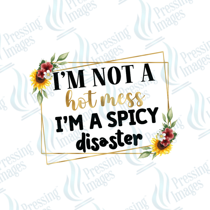 UVD 2003 I am not a hot mess I'm a spicy disaster - Pressing Images