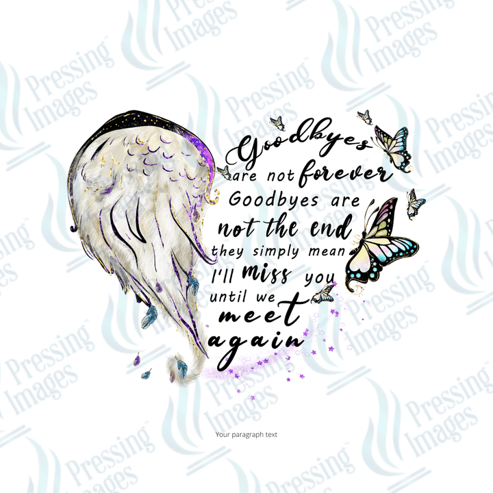 UVD 2011 Goodbyes are not forever - Pressing Images