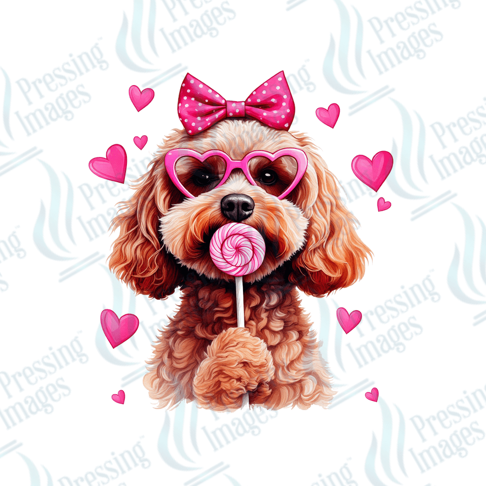 UVD 2043 Lollipop dog - Pressing Images