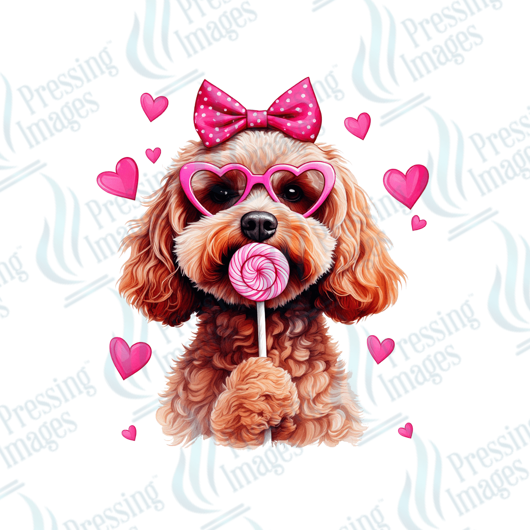 UVD 2043 Lollipop dog - Pressing Images