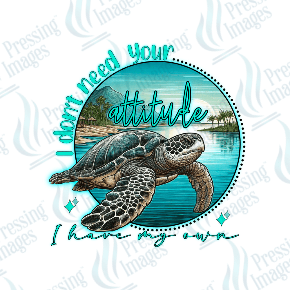 UVD 2045 Don't need your attitude - Pressing Images