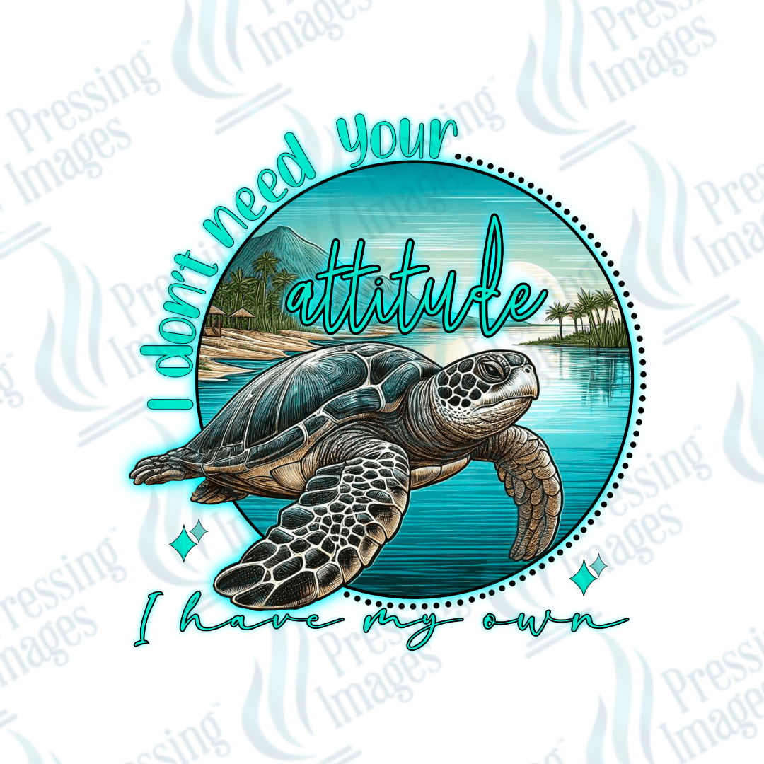 UVD 2045 Don't need your attitude - Pressing Images