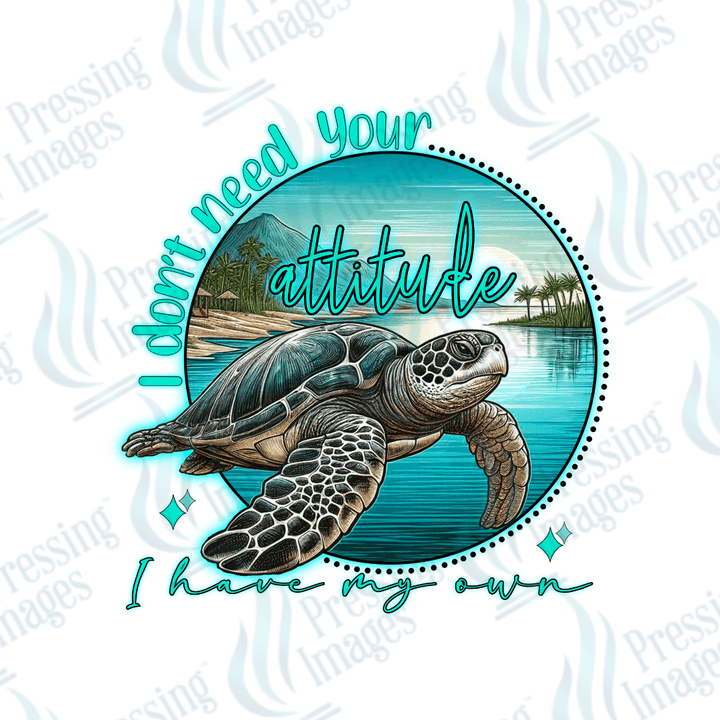 UVD 2045 Don't need your attitude - Pressing Images