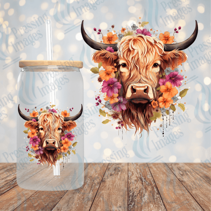 UVD 2047 Highland cow - Pressing Images
