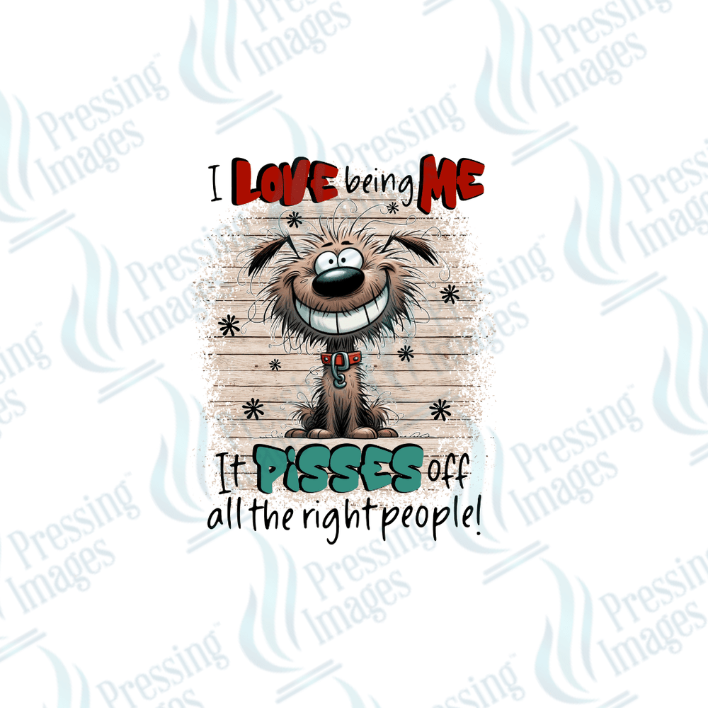 UVD 2048 I love being me - Pressing Images