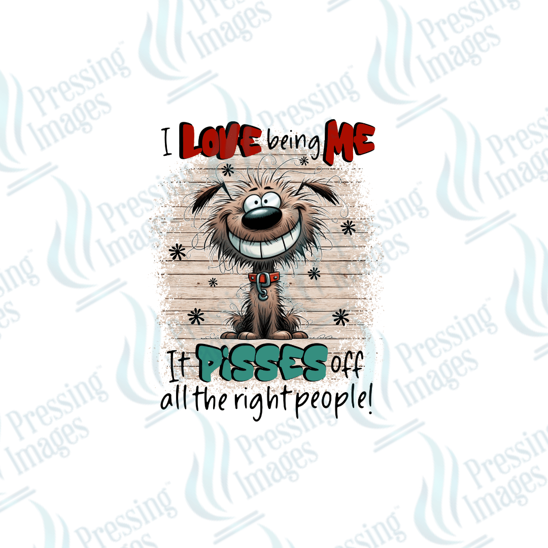 UVD 2048 I love being me - Pressing Images