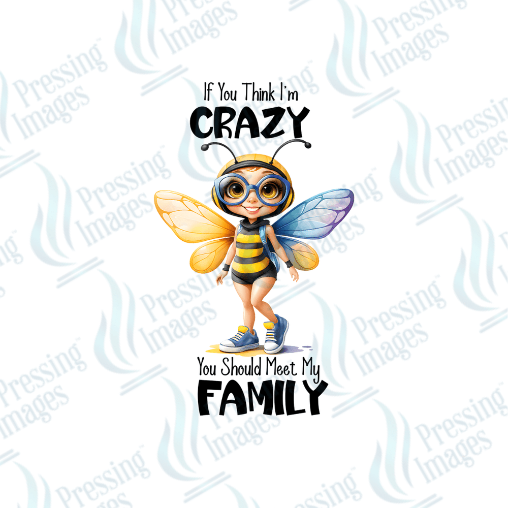 UVD 2068 If you think I'm crazy - Pressing Images