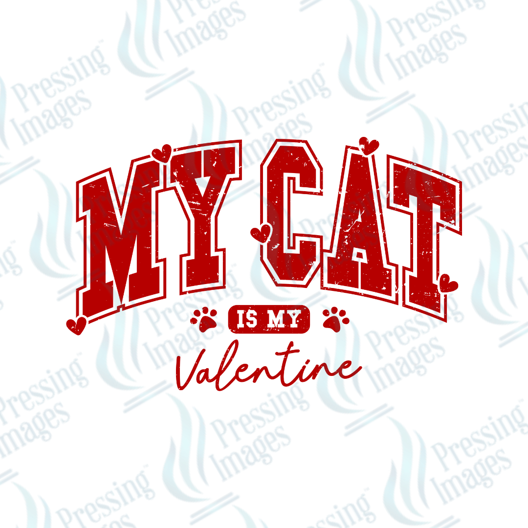 UVD 2078 My cat is my Valentine - Pressing Images