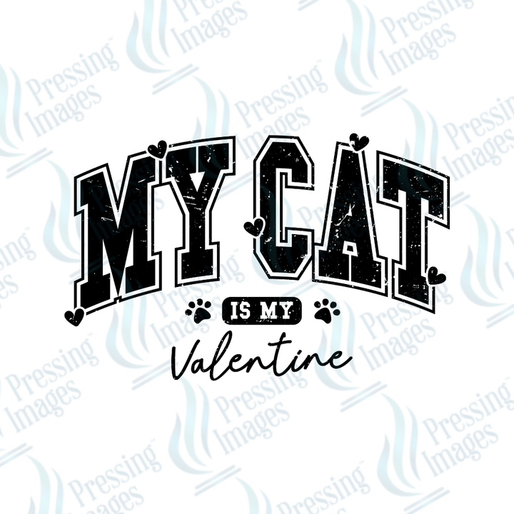 UVD 2078 My cat is my Valentine - Pressing Images