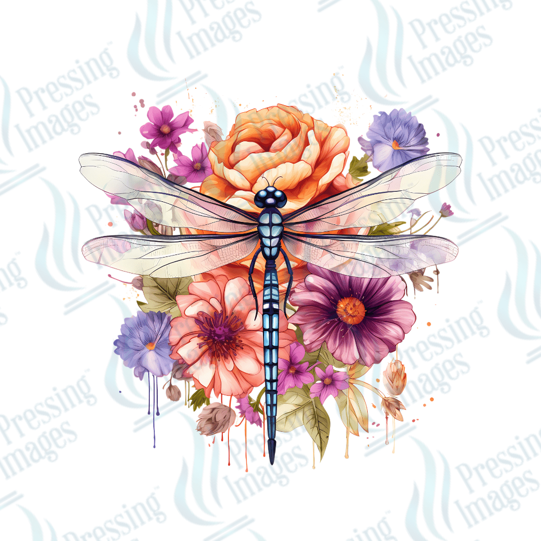 UVD 2109 Dragonfly - Pressing Images