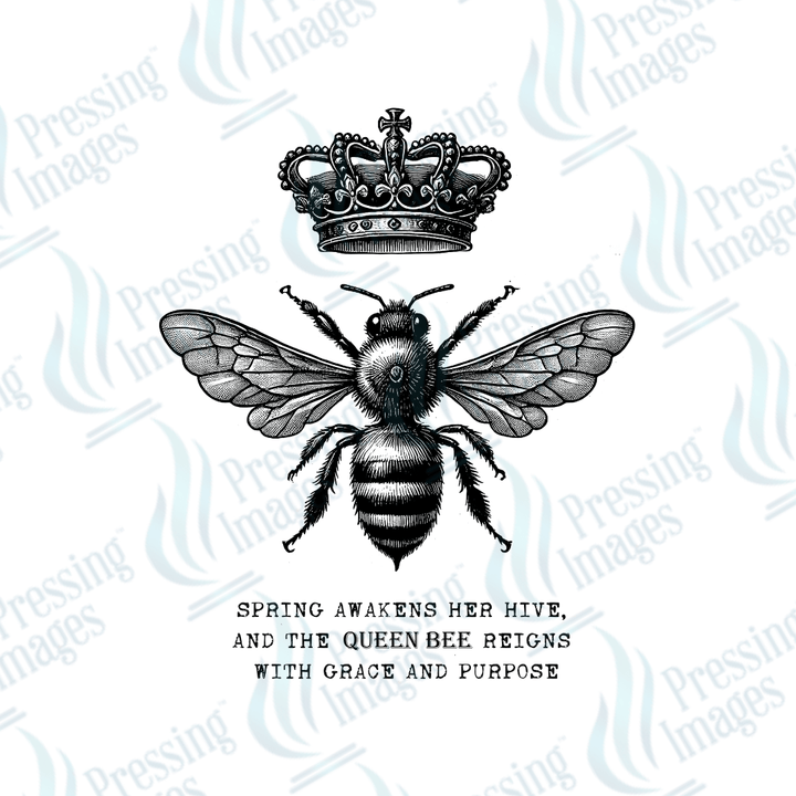 UVD 2140 Vintage Bee - Pressing Images