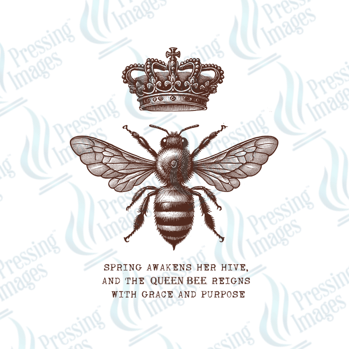 UVD 2140 Vintage Bee - Pressing Images