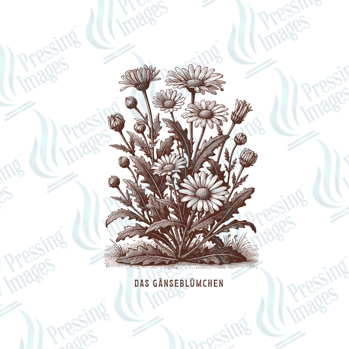 UVD 2141 Vintage Flower - Pressing Images