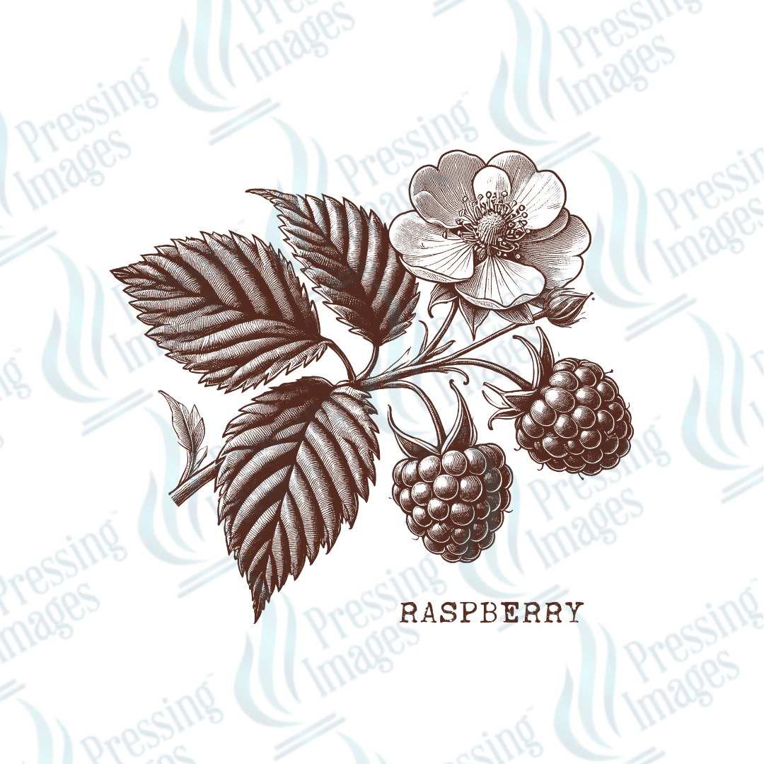 UVD 2143 Vintage Raspberry - Pressing Images