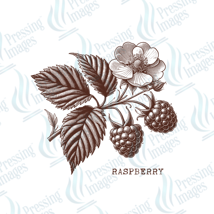 UVD 2143 Vintage Raspberry - Pressing Images