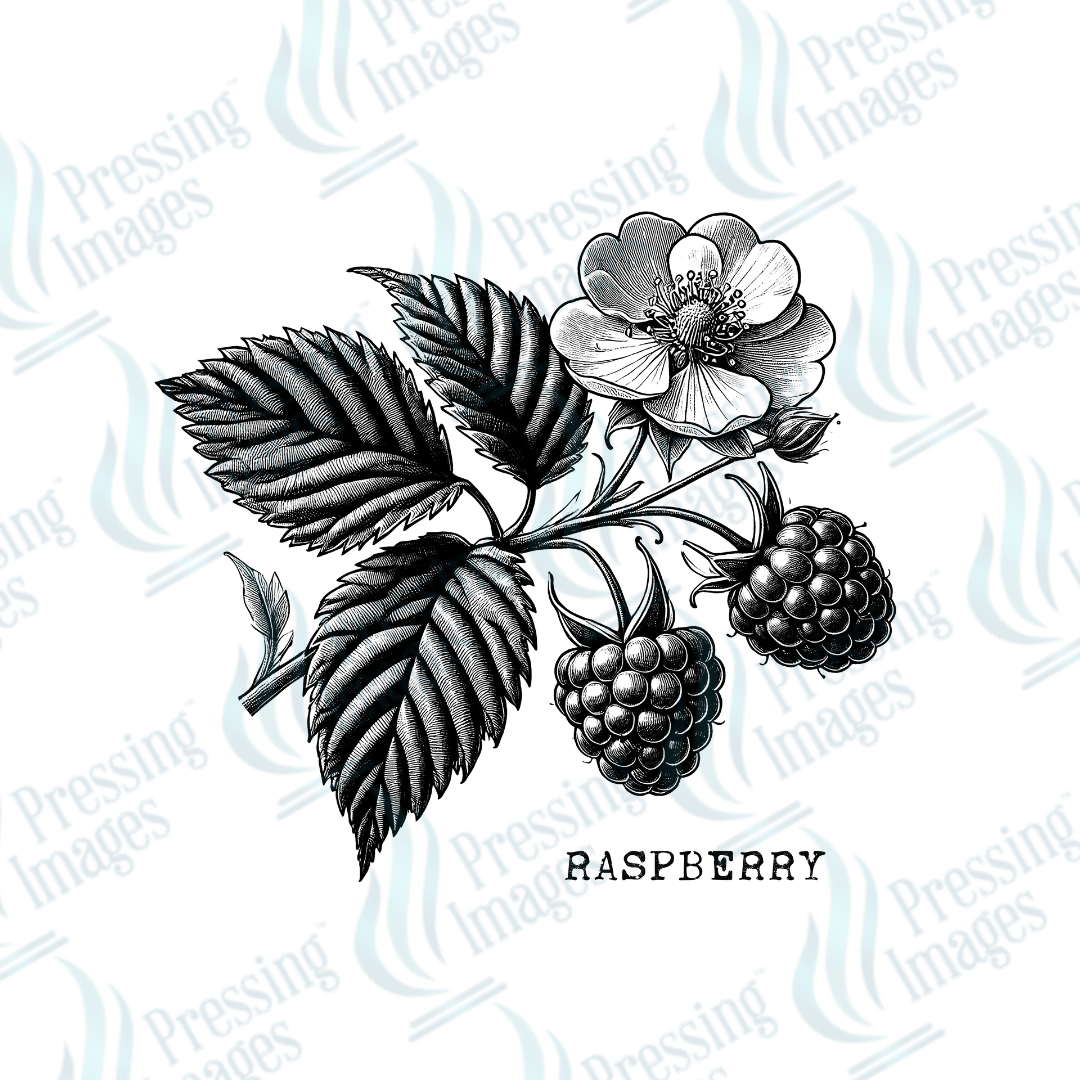 UVD 2143 Vintage Raspberry - Pressing Images