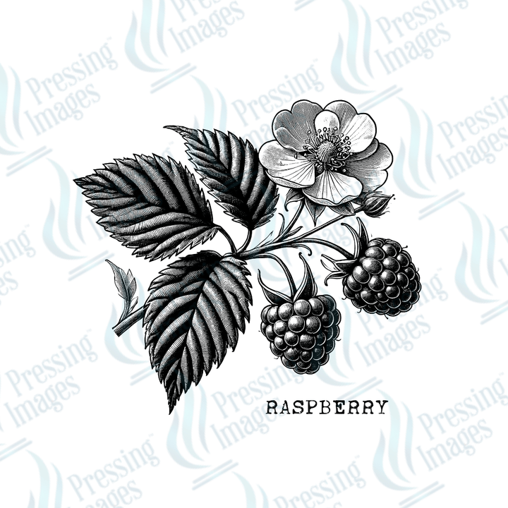 UVD 2143 Vintage Raspberry - Pressing Images