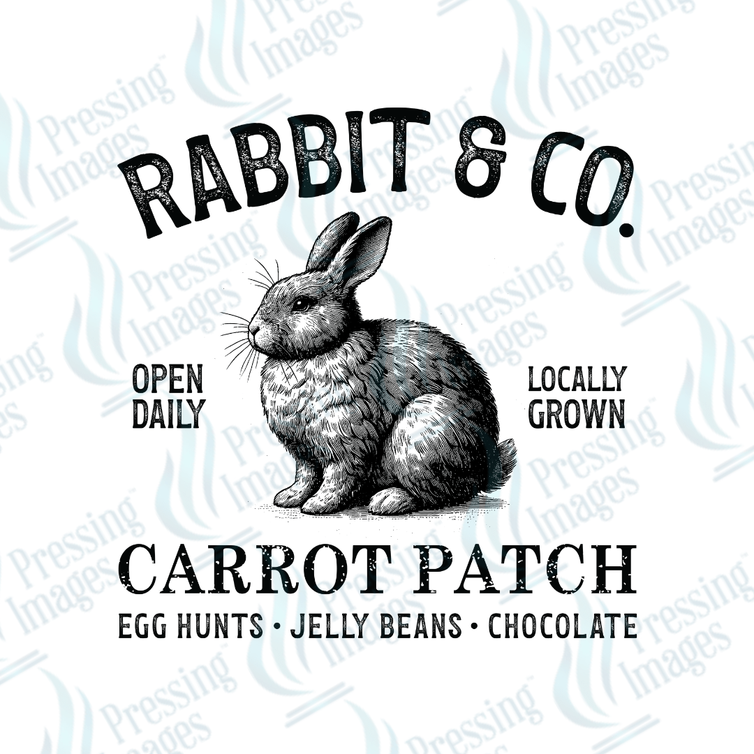 UVD 2148 Rabbit and Co. - Pressing Images