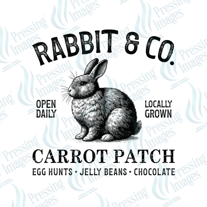 UVD 2148 Rabbit and Co. - Pressing Images