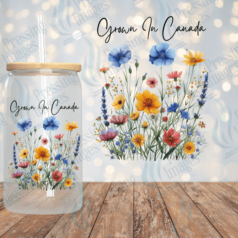 UVD 2161 Grown In Canada - Pressing Images