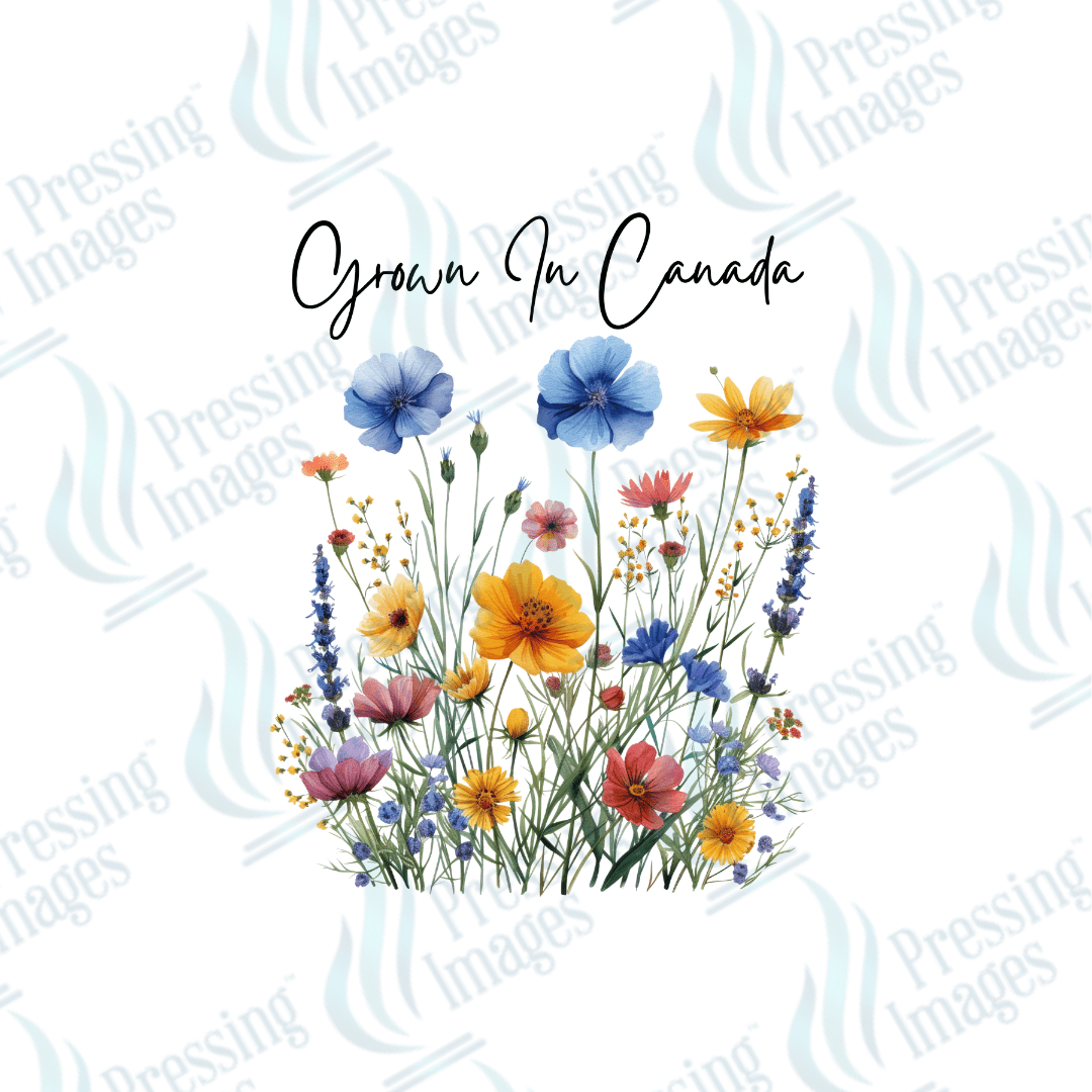 UVD 2161 Grown In Canada - Pressing Images