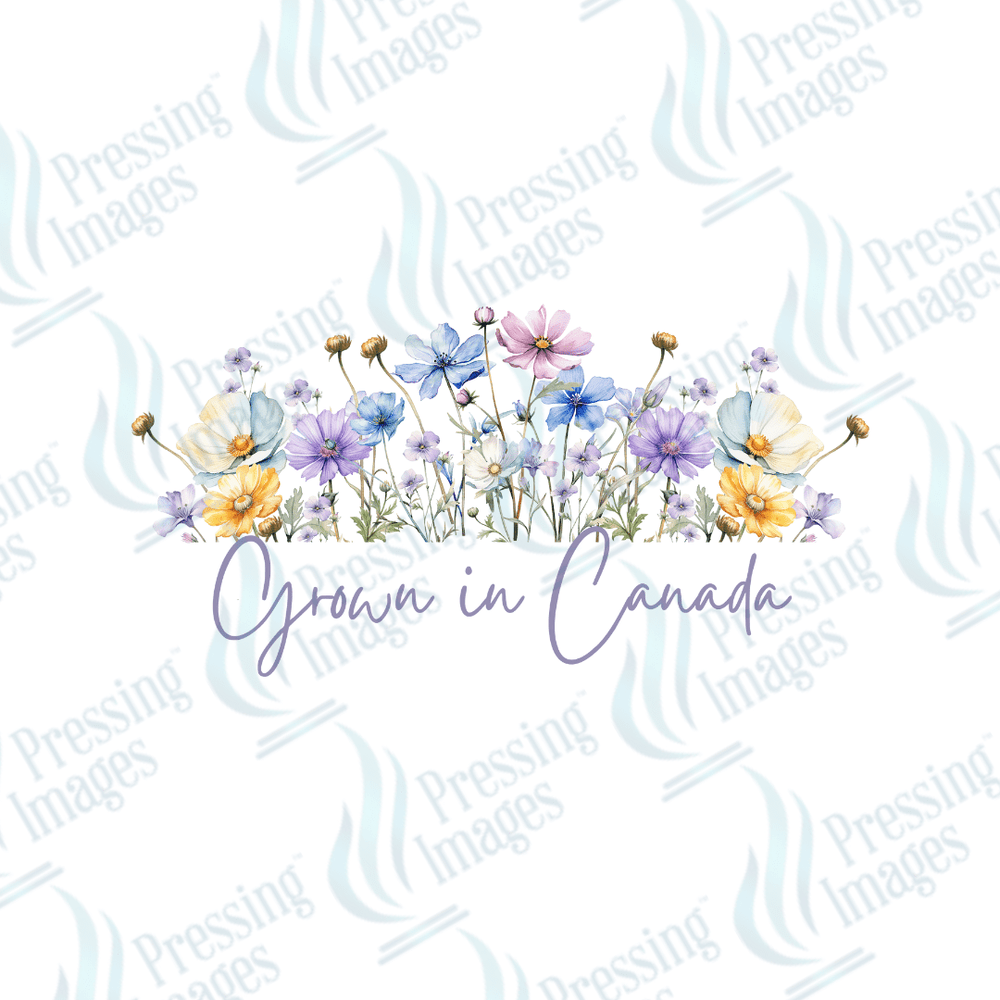 UVD 2162 Grown In Canada Bottom Text - Pressing Images