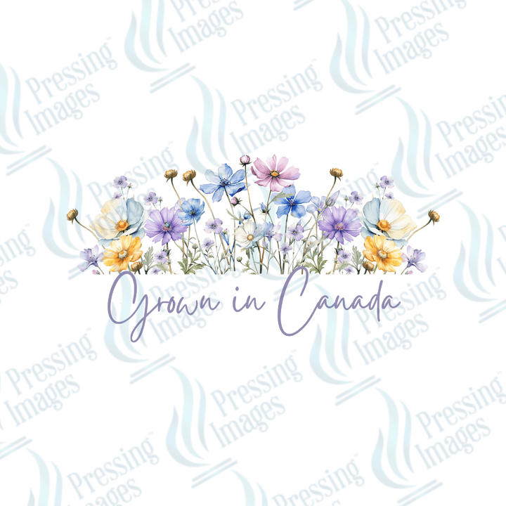 UVD 2162 Grown In Canada Bottom Text - Pressing Images