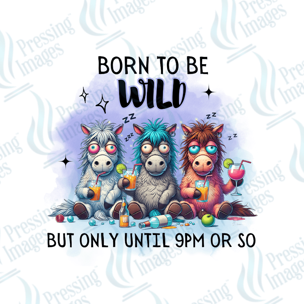 UVD 2196 Born To Be Wild - Pressing Images