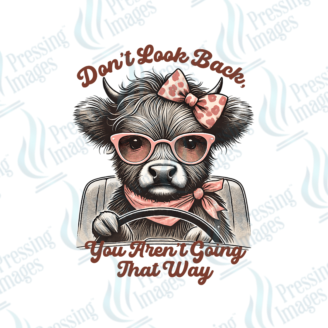 UVD 2201 Don't Look Back - Pressing Images