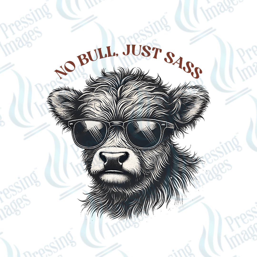 UVD 2213 No Bull Just Sass - Pressing Images