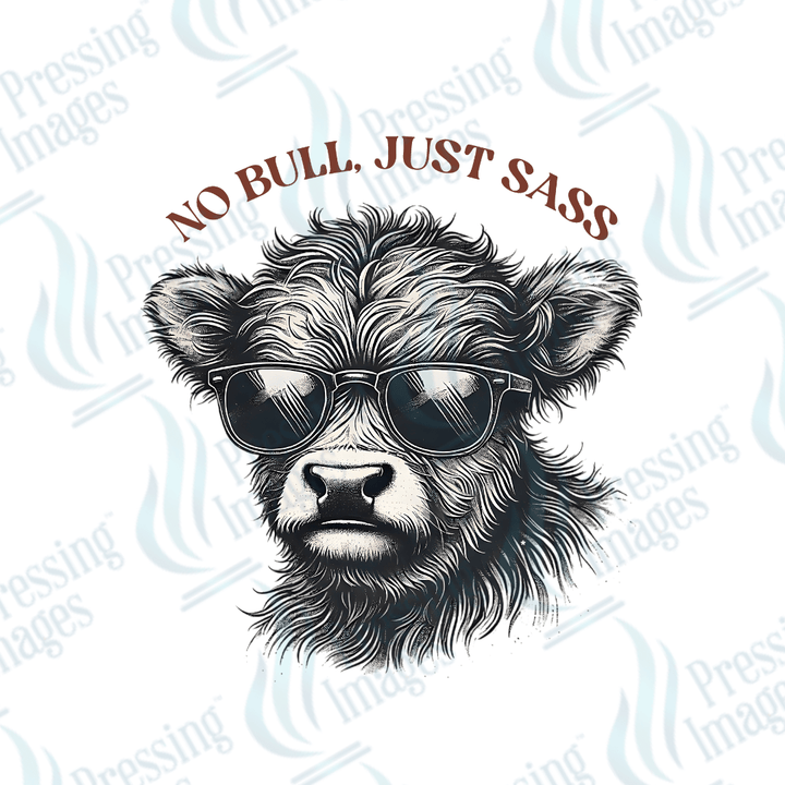 UVD 2213 No Bull Just Sass - Pressing Images
