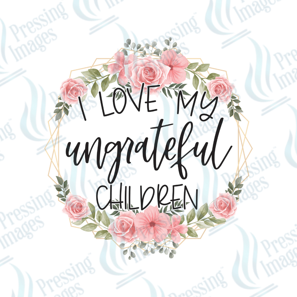 UVD 2225 I Love My Ungrateful Children - Pressing Images