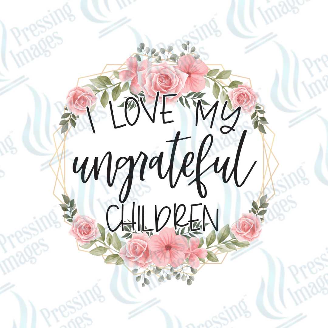 UVD 2225 I Love My Ungrateful Children - Pressing Images