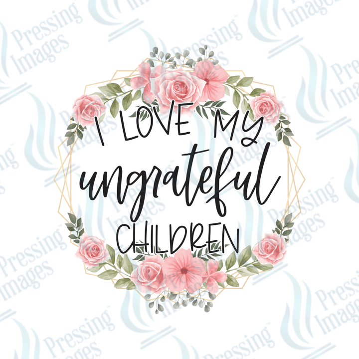 UVD 2225 I Love My Ungrateful Children - Pressing Images