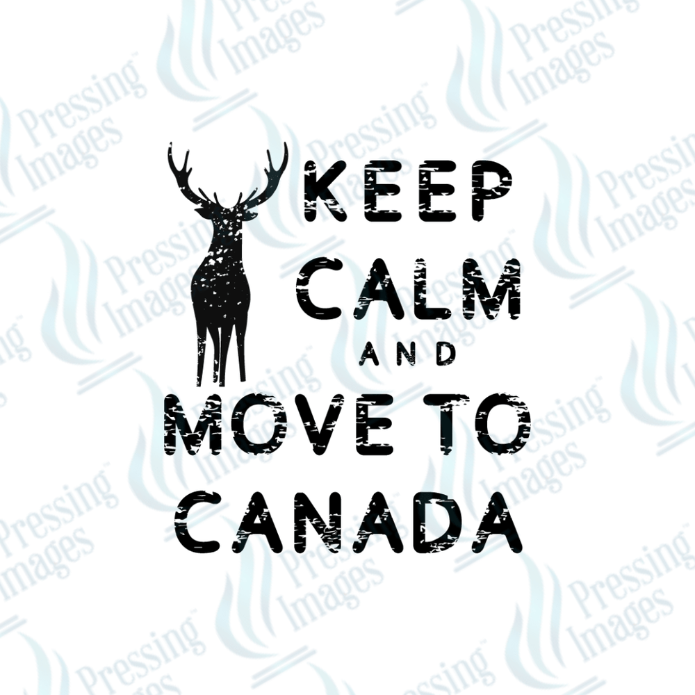 UVD 2228 Move to Canada - Pressing Images