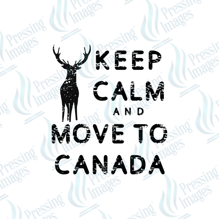 UVD 2228 Move to Canada - Pressing Images