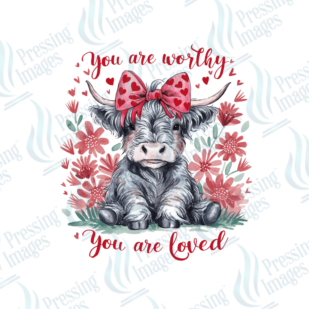 UVD 2230 You Are Worthy - Pressing Images