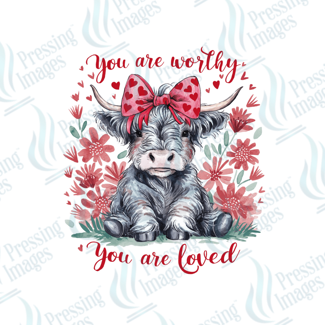 UVD 2230 You Are Worthy - Pressing Images