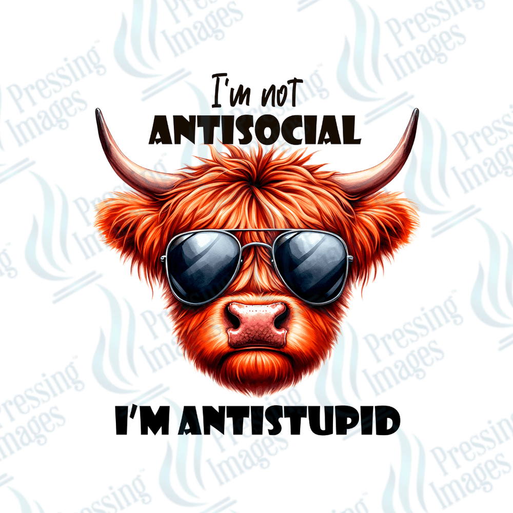 UVD 2234 I'm Not Antisocial - Pressing Images